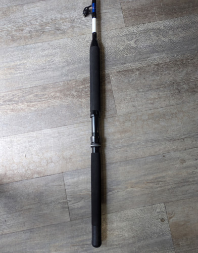 Canne Stand Up Profile Pro 30-60 lb