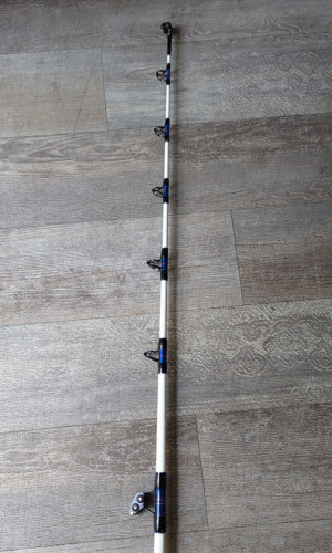 Canne Stand Up Profile Pro 30-60 lb