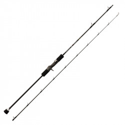 Cannes Tenryu Horizon HSL 66 Baitcasting