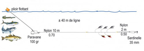 Ligne de traîne Bateau Flashmer Océane