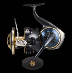 Moulinet Daiwa Saltiga 2025